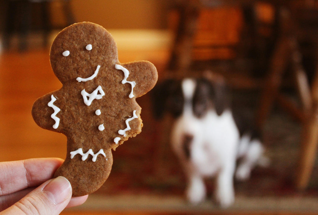 Lag Din Egen Hundesnacks til Jul: Enkle og Sunne Oppskrifter