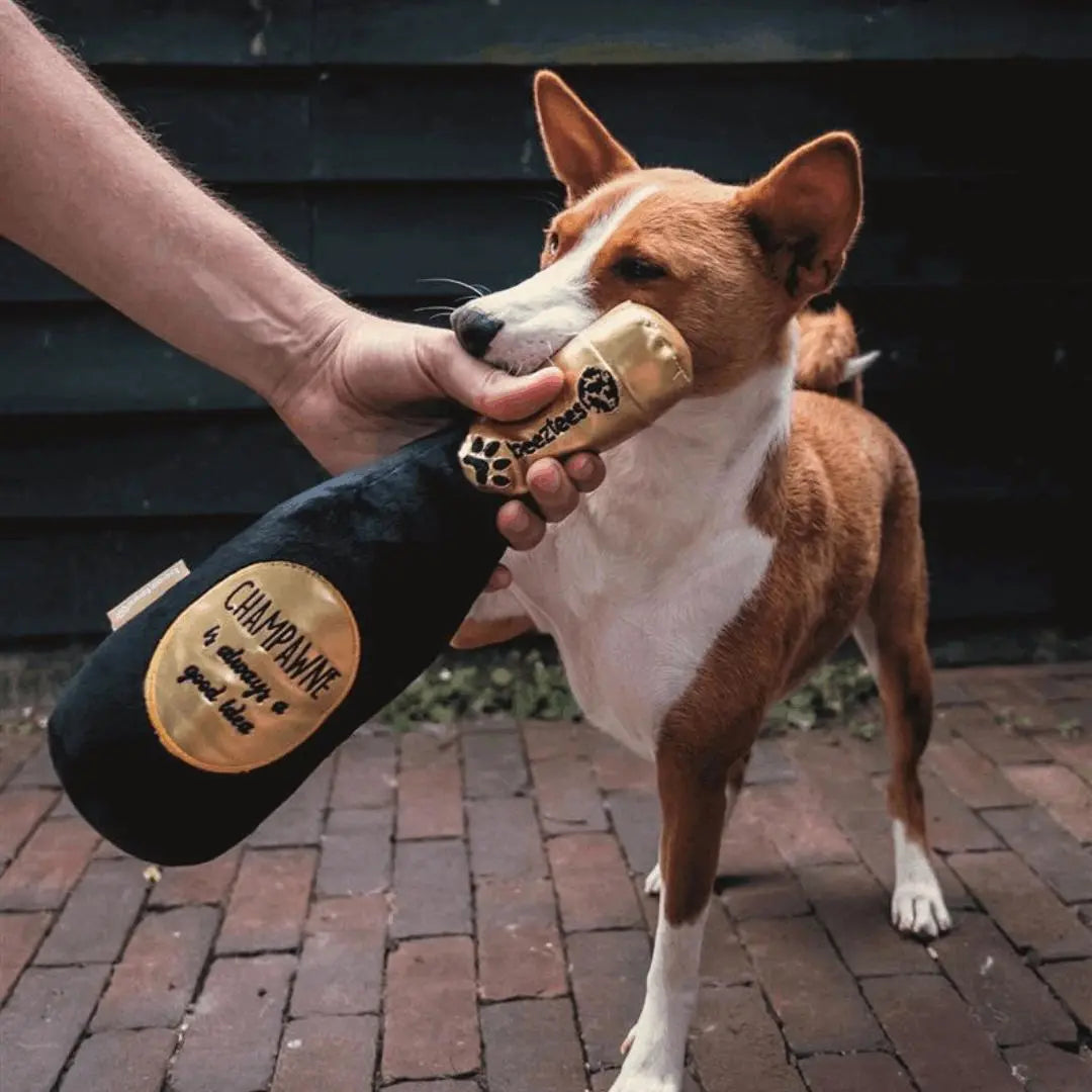 Beeztees Plysj Champagneflaske - PetsUp