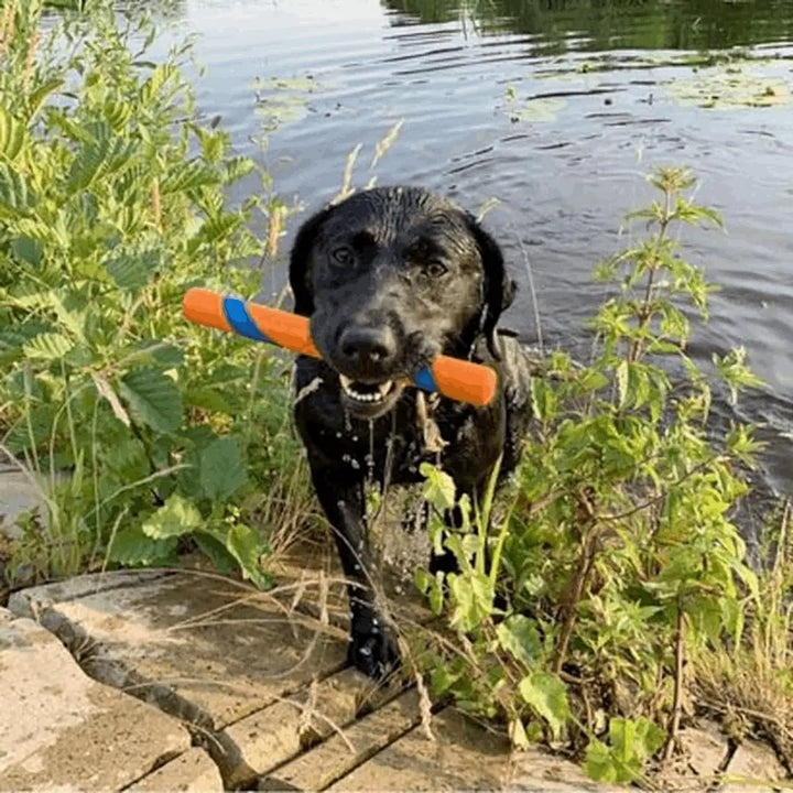 Chuckit! Ultra Fetch Stick - PetsUp