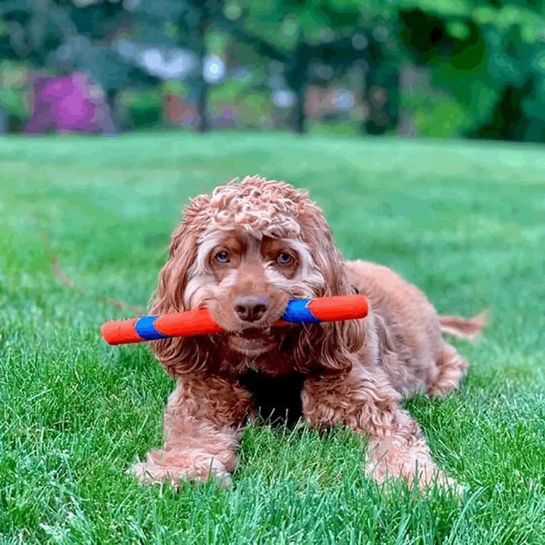 Chuckit! Ultra Fetch Stick - PetsUp