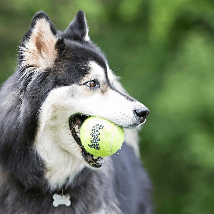 KONG Air Squeaker Ball M