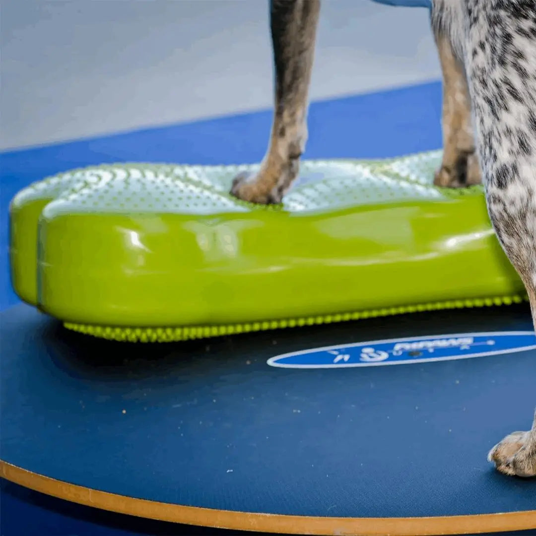 FITPAWS K9FitBone Balanseplatform