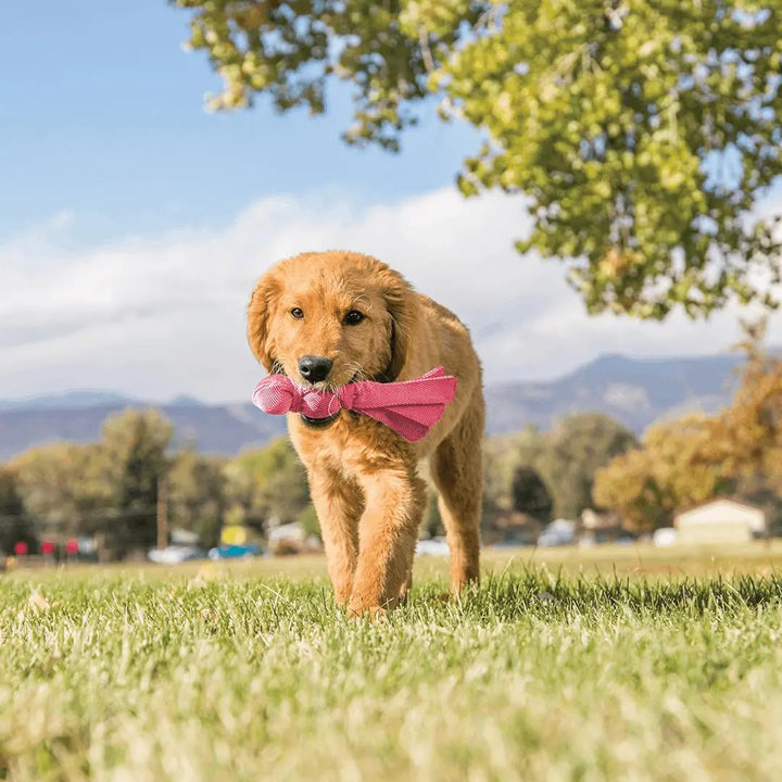 KONG Wubba Puppy Mix 22cm