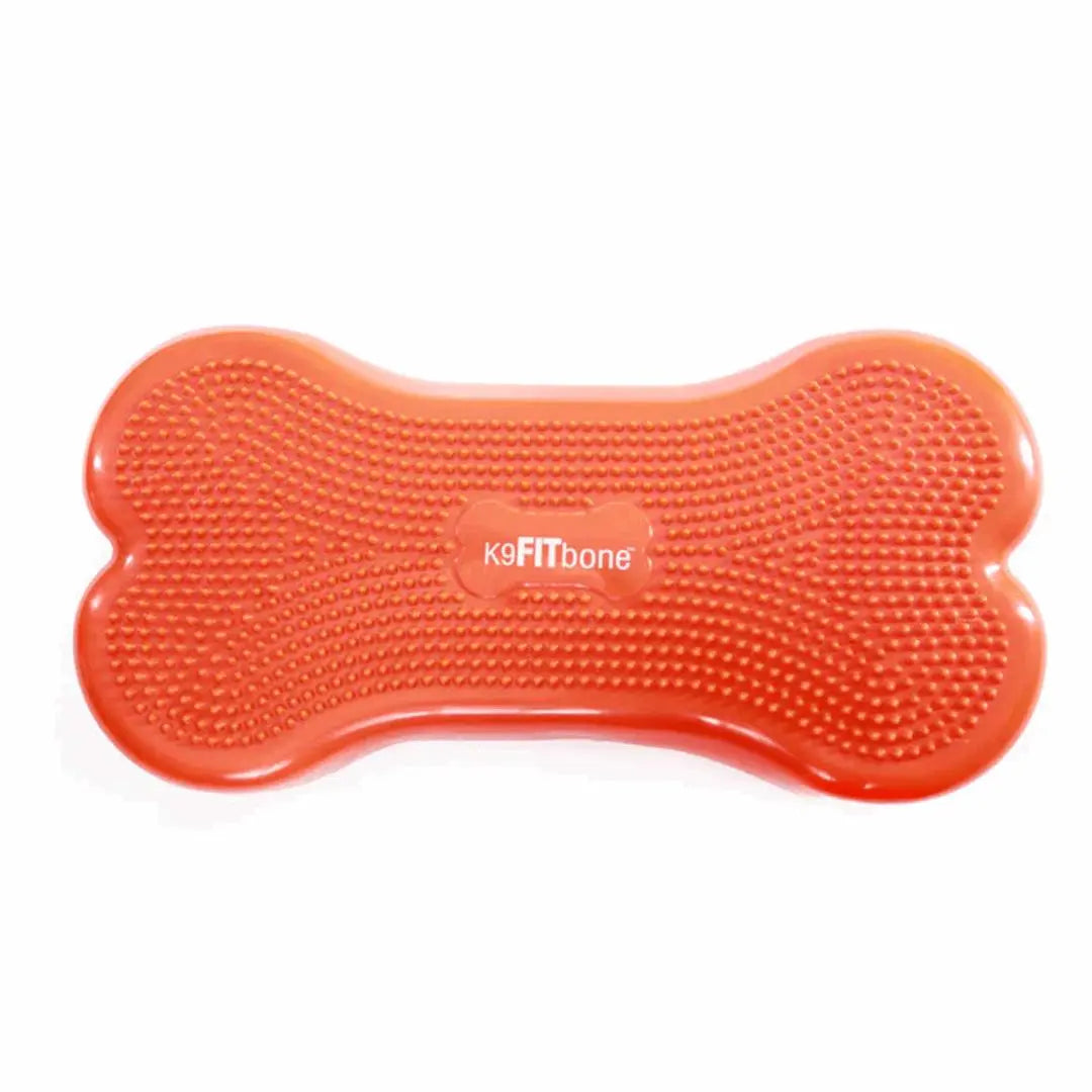 FITPAWS K9FitBone Balanseplatform