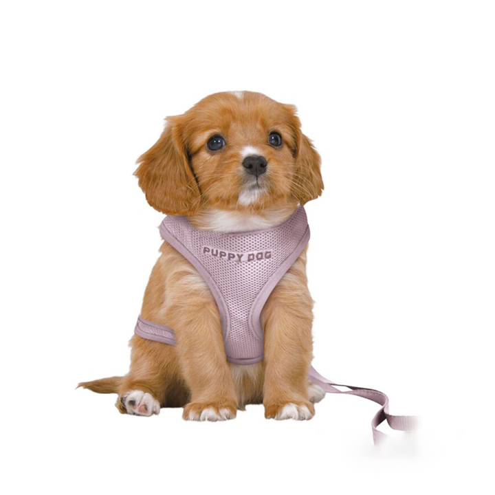 Trixie Junior Puppy Soft Sele m/line Lyselilla